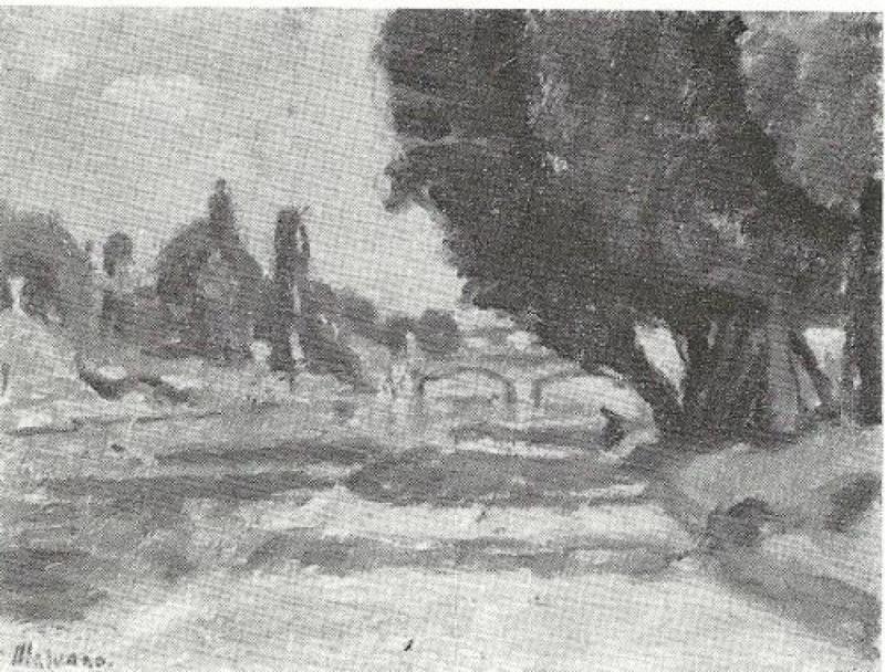 Argini del Po
