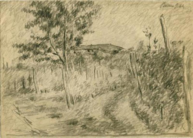 Sentiero fra le vigne