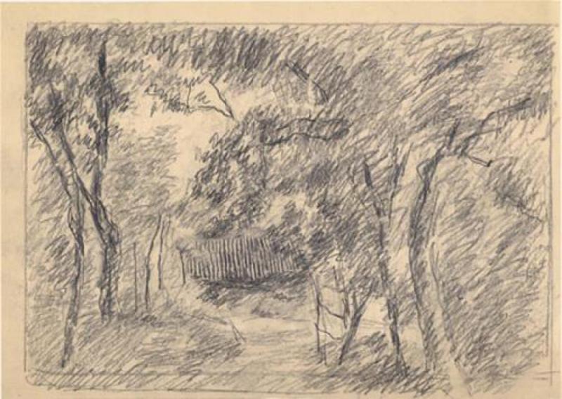 Staccionata tra gli alberi