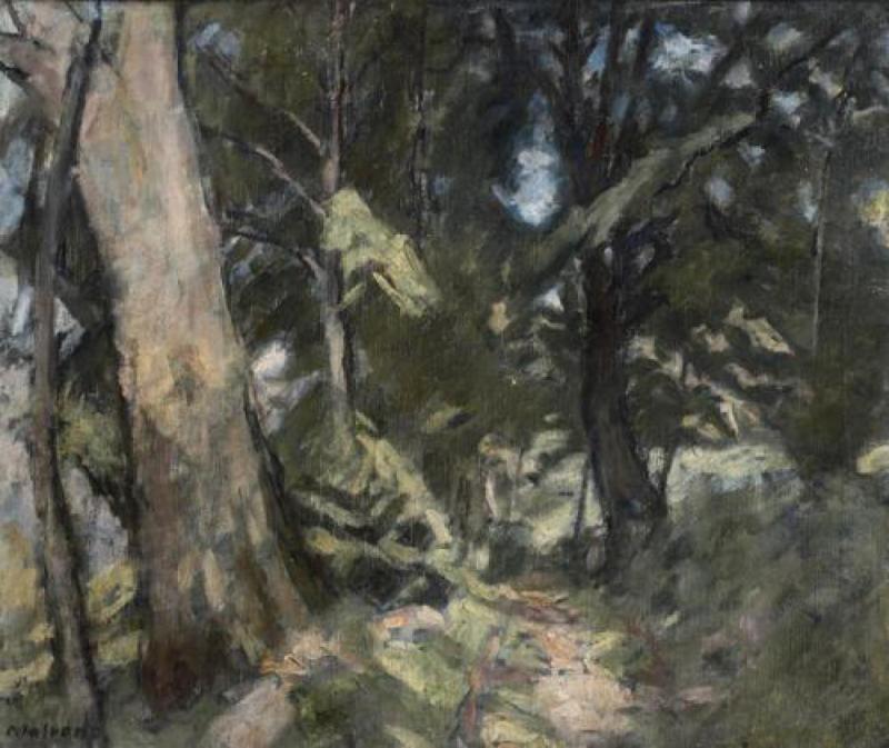 Sottobosco