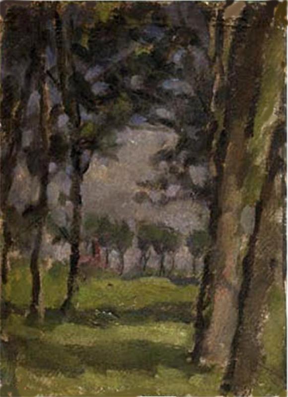 Campagna con alberi