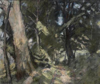 Sottobosco