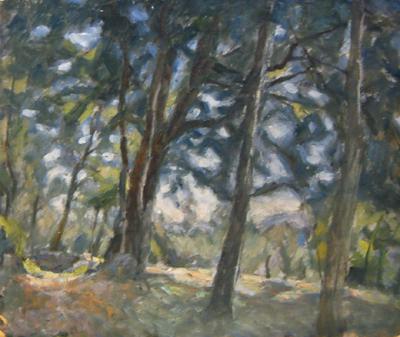 Alberi nel bosco