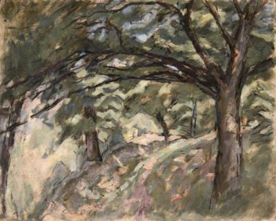 Albero dai lunghi rami