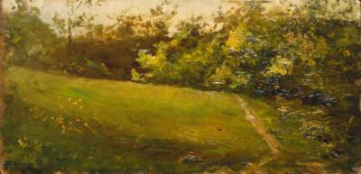 Radura nel bosco