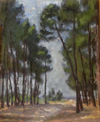 Pineta verso il mare